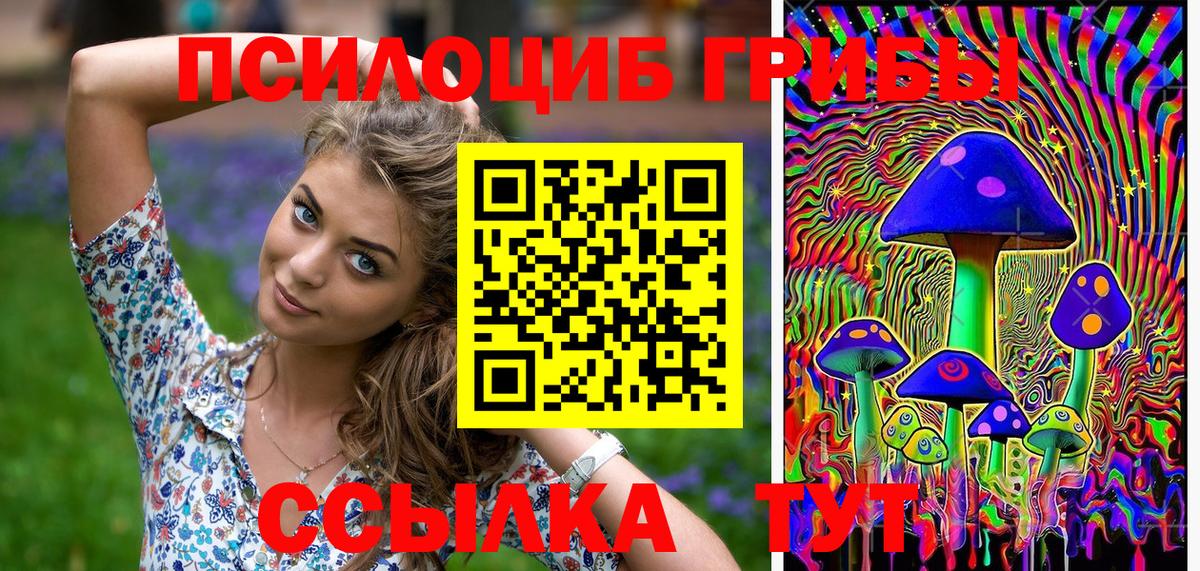 Галлюциногенные грибы GOLDEN TEACHER  Галлюциногенные грибы прущие грибы  Гудермес 