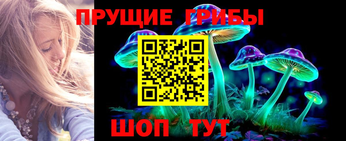 Псилоцибиновые грибы GOLDEN TEACHER Гудермес
