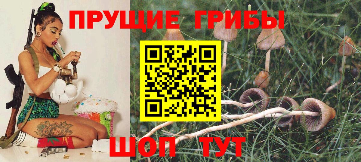 что такое   Псилоцибиновые грибы Psilocybine cubensis  Вход с VPN  Гудермес 